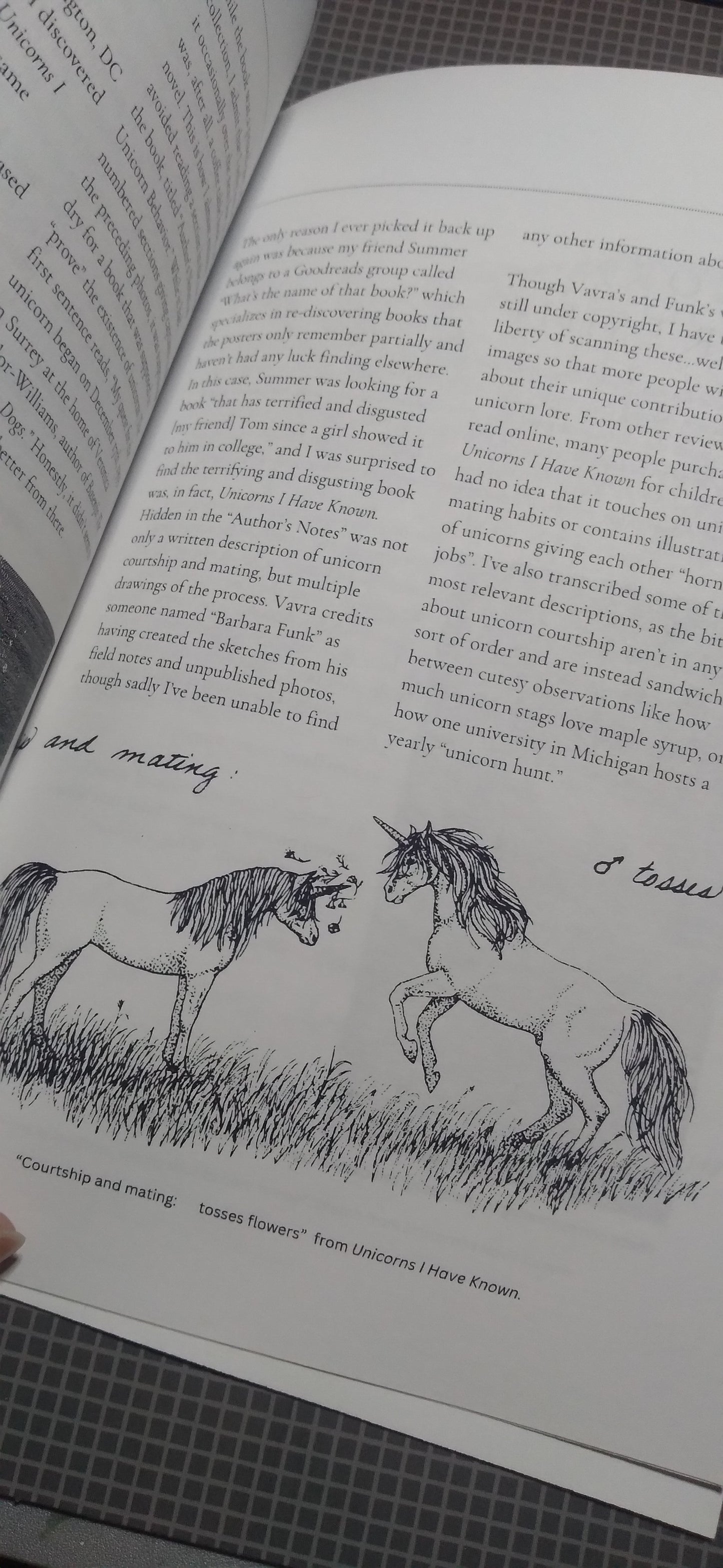 Unicorn Courtship and Mating