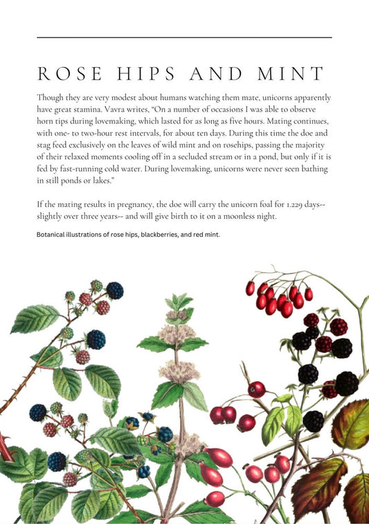 Unicorn Courtship and Mating